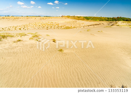 靜岡縣中田島沙丘 - 晴空下的景色 133353119