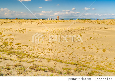 靜岡縣中田島沙丘 - 晴空下的景色 133353137
