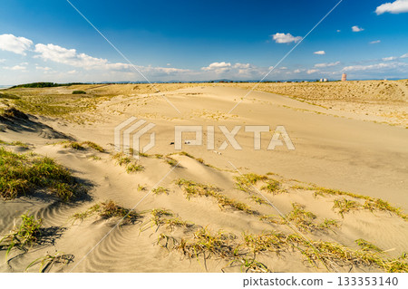 靜岡縣中田島沙丘 - 晴空下的景色 133353140