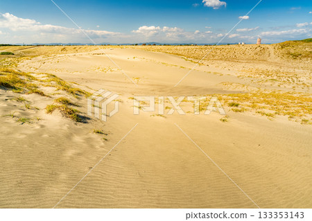 <<Shizuoka Prefecture>> Nakatajima Sand Dunes - Scenery under clear skies 133353143