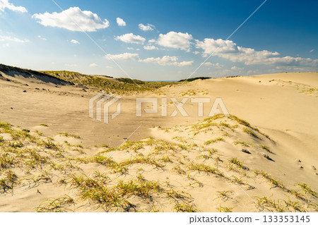 <<Shizuoka Prefecture>> Nakatajima Sand Dunes - Scenery under clear skies <<Shizuoka Prefecture>> Nakatajima Sand Dunes - Scenery under clear skies 133353145