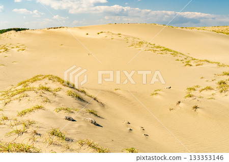 靜岡縣中田島沙丘 - 晴空下的景色 133353146