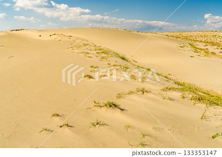 <<Shizuoka Prefecture>> Nakatajima Sand Dunes - Scenery under clear skies 133353147