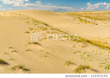 <<Shizuoka Prefecture>> Nakatajima Sand Dunes - Scenery under clear skies 133353150