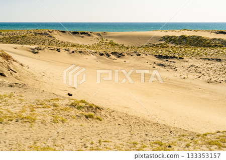 <<Shizuoka Prefecture>> Nakatajima Sand Dunes - Scenery under clear skies 133353157