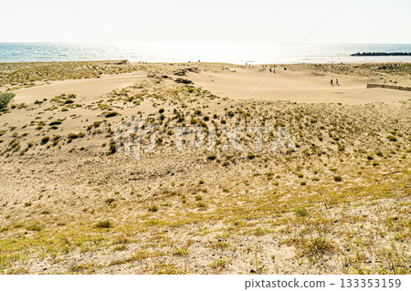靜岡縣中田島沙丘 - 晴空下的景色 133353159