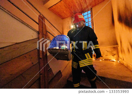 Brave firefighter carrying a rescued cat in a portable cage down smoky stairs during a building fire, symbolizing courage, compassion, and dedication to saving both human and animal lives in Brave firefighter carrying a rescued cat in a portable cage down smoky stairs during a building fire, symbolizing courage, compassion, and dedication to saving both human and animal lives in 133353993
