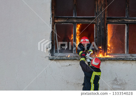 Brave firefighter rescuing a cat from a burning building, visible flames and smoke, dramatic scene, urban environment, emergency response, hero in action, saving lives 133354028