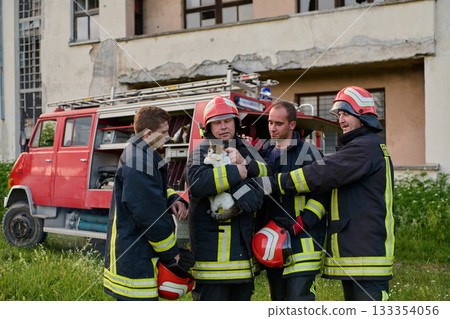 Firefighters rescuing a cat near a fire truck, showcasing teamwork and compassion, with focus on animal rescue and emergency response in an outdoor setting, featuring brave firemen. 133354056