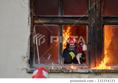 Brave firefighter rescuing a cat from a burning building, visible flames and smoke, dramatic scene, urban environment, emergency response, hero in action, saving lives 133354133