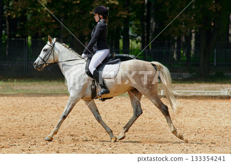 Equestrian sport, horse and rider in dressage competition, woman riding horse in outdoor arena, training and performance, equine event, sunny day, natural light, action shot. 133354241