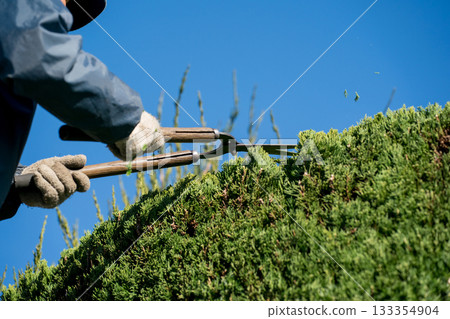 pruning, gents, male 133354904