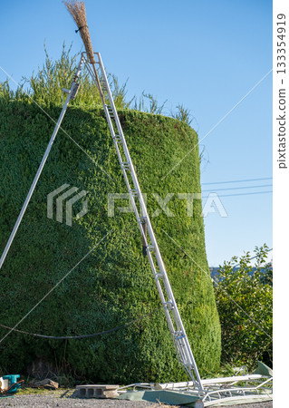 修剪 花園 院子 133354919