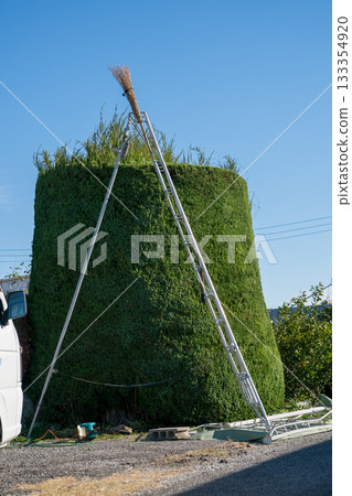 修剪 花園 院子 133354920