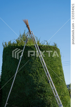 pruning, garden, master gardener 133354921