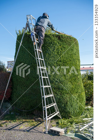 gardener, landscaper, pruning 133354929