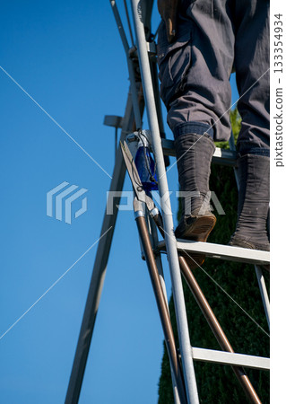 pruning, male, males 133354934