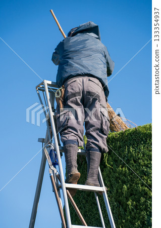 pruning, male, males 133354937