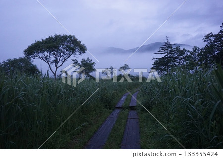 Morning Ozegahara stock photos Morning Ozegahara stock photos 133355424