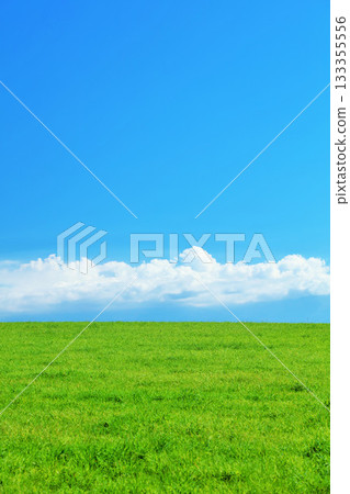 Hokkaido summer blue sky and fresh green meadow scenery Hokkaido summer blue sky and fresh green meadow scenery 133355556