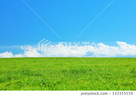 Hokkaido summer blue sky and fresh green meadow scenery Hokkaido summer blue sky and fresh green meadow scenery 133355559