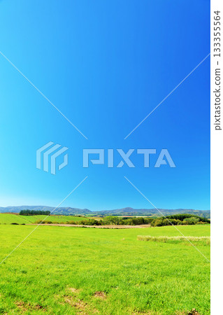 Hokkaido summer blue sky and Biei landscape 133355564