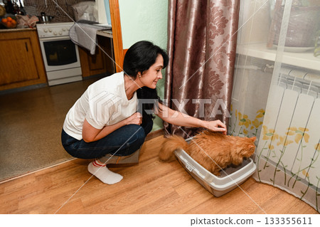Mature 50 years old Russian woman cares for her senior ginger cat with urinary issues, gently supporting it while it uses the litter box in a cozy home. Mature 50 years old Russian woman cares for her senior ginger cat with urinary issues, gently supporting it while it uses the litter box in a cozy home. 133355611