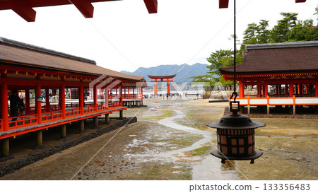 嚴島神社 133356483