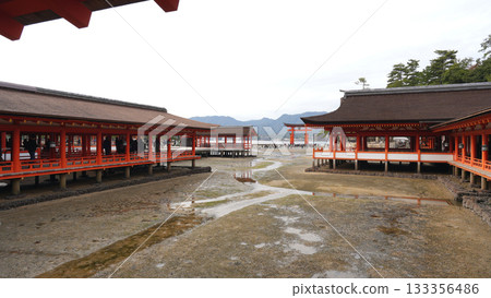 嚴島神社 133356486