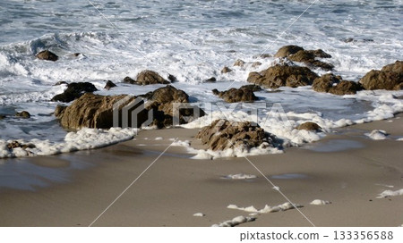 海浪拍打著海岸,花朵盛開。 海浪拍打著海岸,花朵盛開。 133356588