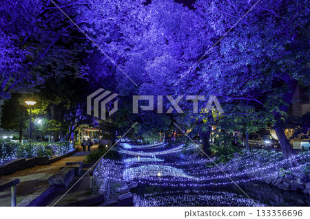 Nishigawa Green Road Park Illuminations Nishigawa Illuminations Okayama City, Okayama Prefecture Nishigawa Green Road Park Illuminations Nishigawa Illuminations Okayama City, Okayama Prefecture 133356696