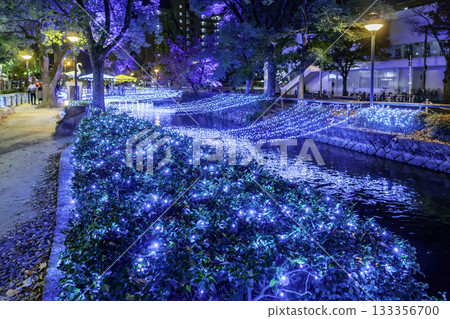 Nishigawa Green Road Park Illuminations Nishigawa Illuminations Okayama City, Okayama Prefecture Nishigawa Green Road Park Illuminations Nishigawa Illuminations Okayama City, Okayama Prefecture 133356700