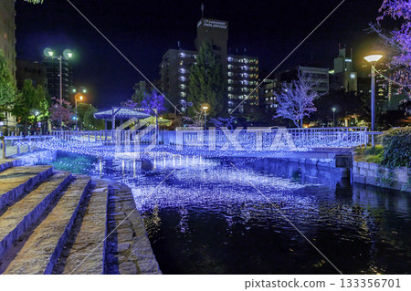 Nishigawa Green Road Park Illuminations Nishigawa Illuminations Okayama City, Okayama Prefecture Nishigawa Green Road Park Illuminations Nishigawa Illuminations Okayama City, Okayama Prefecture 133356701