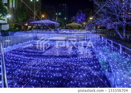Nishigawa Green Road Park Illuminations Nishigawa Illuminations Okayama City, Okayama Prefecture Nishigawa Green Road Park Illuminations Nishigawa Illuminations Okayama City, Okayama Prefecture 133356704