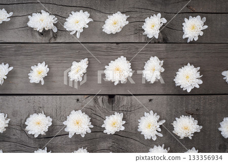 White Flowers on Wooden Surface. Top View Photo. Wallpaper Background Template. White Flowers on Wooden Surface. Top View Photo. Wallpaper Background Template. 133356934