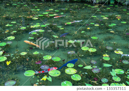 《Gifu Prefecture》 Monet's Pond / Autumn 《Gifu Prefecture》 Monet's Pond / Autumn 133357311