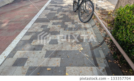 道路沾滿了銀杏果。 道路沾滿了銀杏果。 133357704
