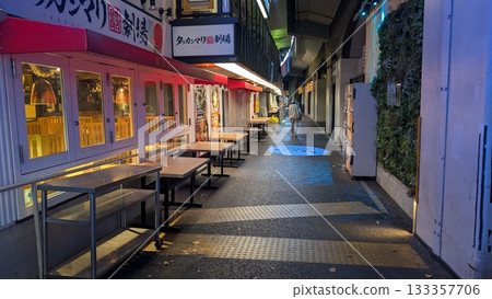 Shinbashi Arcade and Bar District Shinbashi Arcade and Bar District 133357706