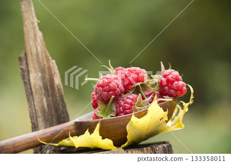 Fresh raspberries in a wooden spoon on a tree stump with a blurred background 133358011
