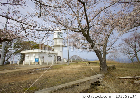 阿瑪魯貝扎基燈塔和櫻花景色 133358134