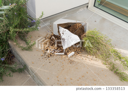 Broken flowerpot Broken flowerpot 133358513