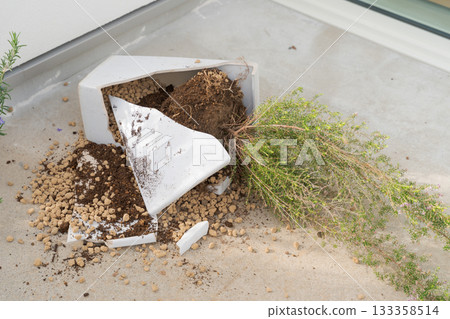 Broken flowerpot 133358514