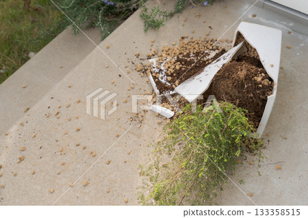 破碎的花盆 破碎的花盆 133358515