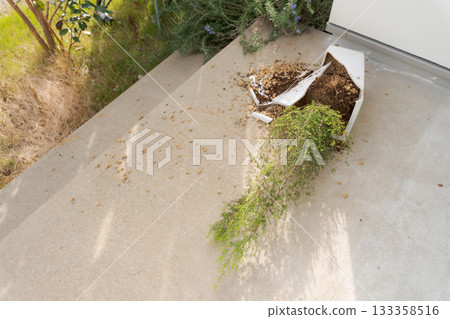 Broken flowerpot Broken flowerpot 133358516