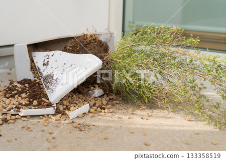 Broken flowerpot 133358519