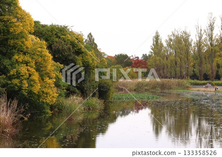 水元公園的秋天(東京都葛飾區) 水元公園的秋天(東京都葛飾區) 133358526