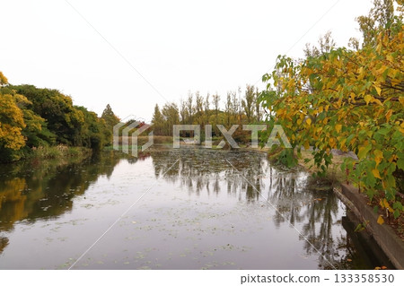 水元公園的秋天(東京都葛飾區) 水元公園的秋天(東京都葛飾區) 133358530