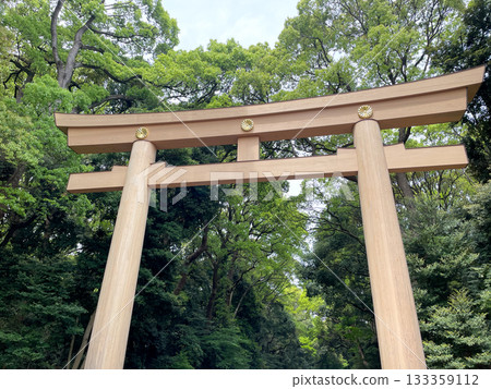 The refreshing torii gate of Meiji Shrine 133359112