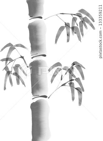 Bamboo ink painting illustration (ink painting, Japanese style, Japanese painting) Bamboo ink painting illustration (ink painting, Japanese style, Japanese painting) 133359211