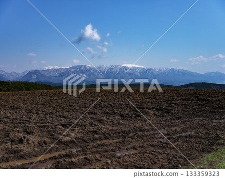 Shirakami-Sanchi in Spring - World Natural Heritage Site 133359323